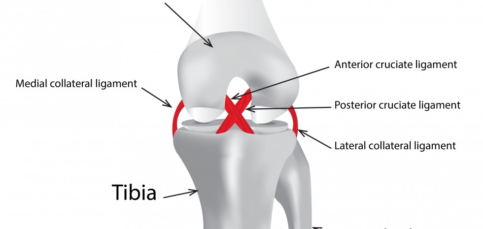 Knee pain reasons by best orthopedic doctor