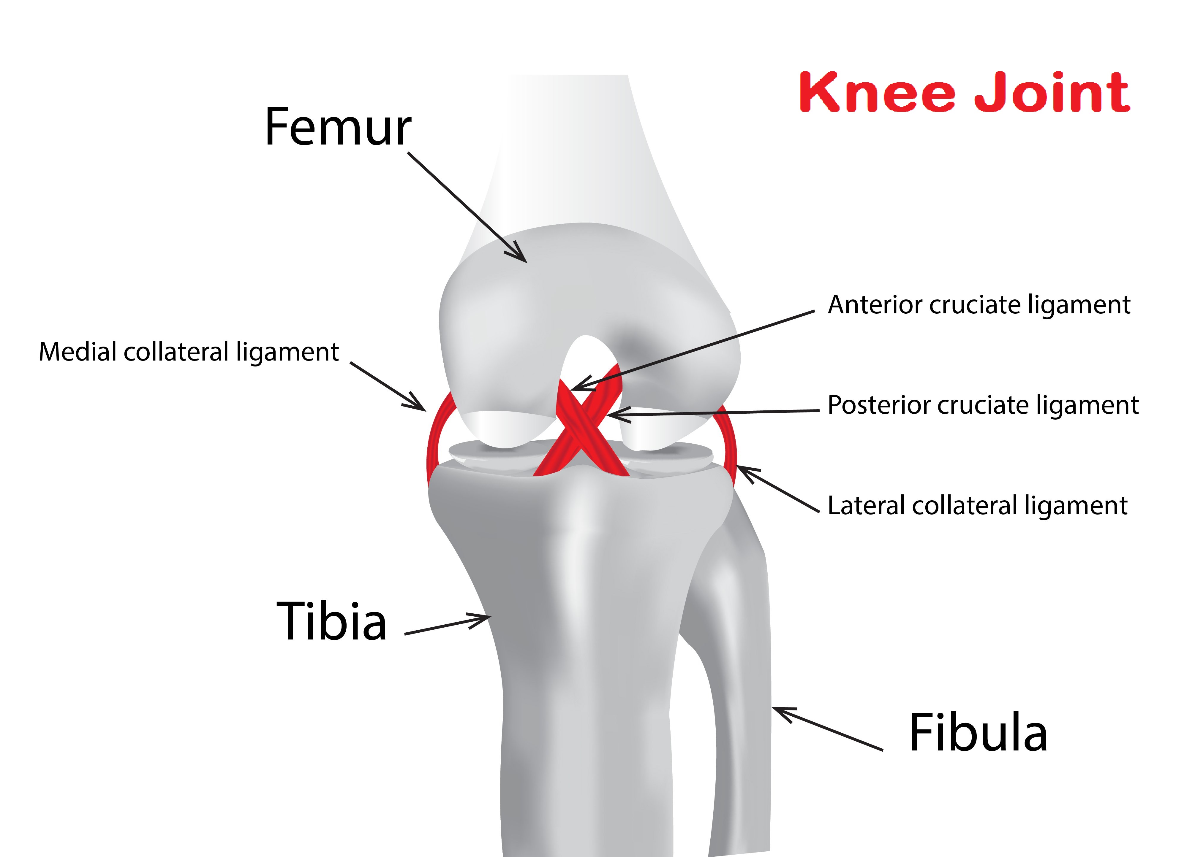 Knee pain reasons by best orthopedic doctor